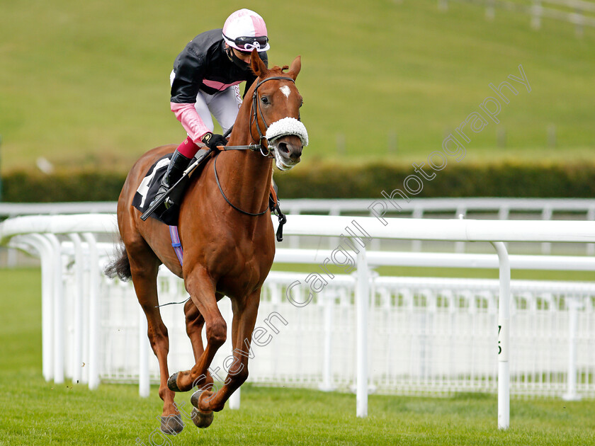 Classic-Lord-0001 
 CLASSIC LORD (Oisin Murphy) winner of The Ladbrokes Watch Racing Online For Free Maiden Auction Stakes
Goodwood 30 Aug 2020 - Pic Steven Cargill / Racingfotos.com