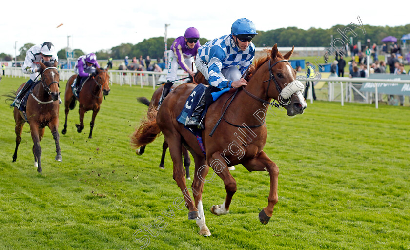 Thunder-Moor-0003 
 THUNDER MOOR (Daniel Tudhope) wins The British Stallion Studs EBF Novice Stakes
York 11 May 2022 - Pic Steven Cargill / Racingfotos.com