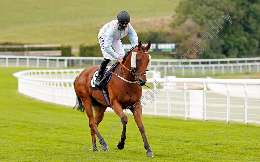 The-Lamplighter-0001 
 THE LAMPLIGHTER (Jack Mitchell) before winning The tote.co.uk Home Of The Placepot Handicap
Goodwood 23 Sep 2020 - Pic Steven Cargill / Racingfotos.com