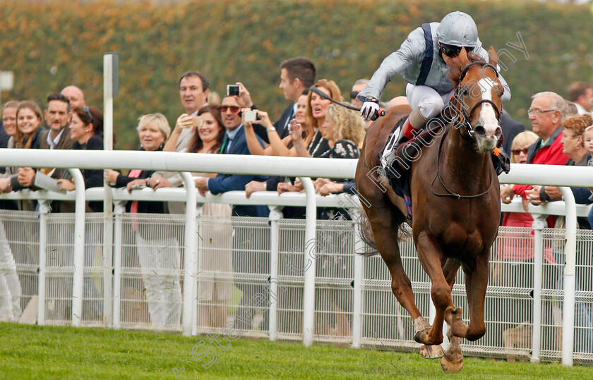 Lunar-Jet-0003 
 LUNAR JET (Jimmy Quinn) wins The Fuller Smith & Turner Plc Handicap Goodwood 27 Sep 2017 - Pic Steven Cargill / Racingfotos.com