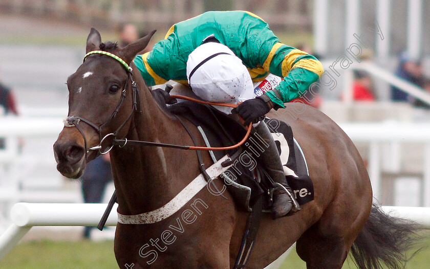 Birchdale-0005 
 BIRCHDALE (Barry Geraghty) wins The Ballymore Novices Hurdle
Cheltenham 26 Jan 2019 - Pic Steven Cargill / Racingfotos.com