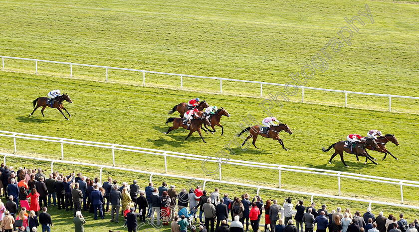 Chatez-0002 
 CHATEZ (farside, William Buick) beats INDEED (nearside) in The Mansionbet Spring Cup Handicap
Newbury 13 Apr 2019 - Pic Steven Cargill / Racingfotos.com