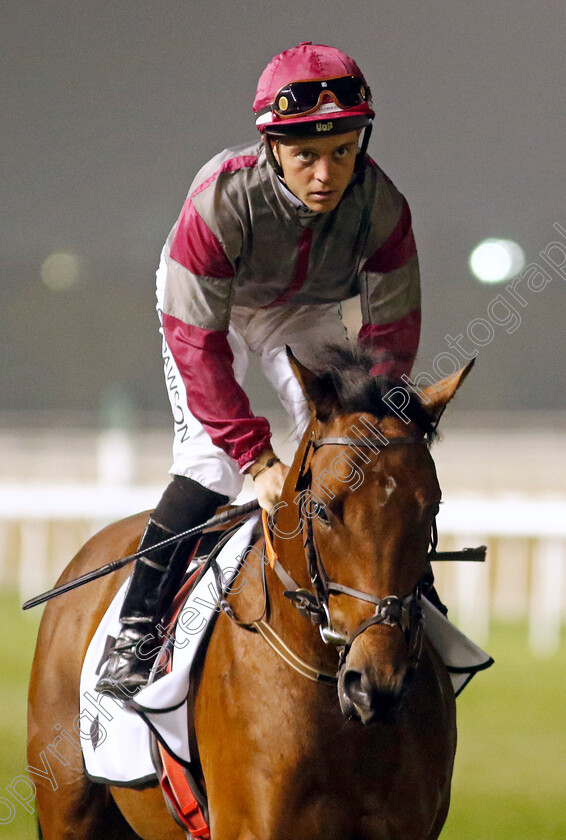 Tamborrada-0001 
 TAMBORRADA (Ray Dawson)
Meydan 3 Feb 2023 - Pic Steven Cargill / Racingfotos.com