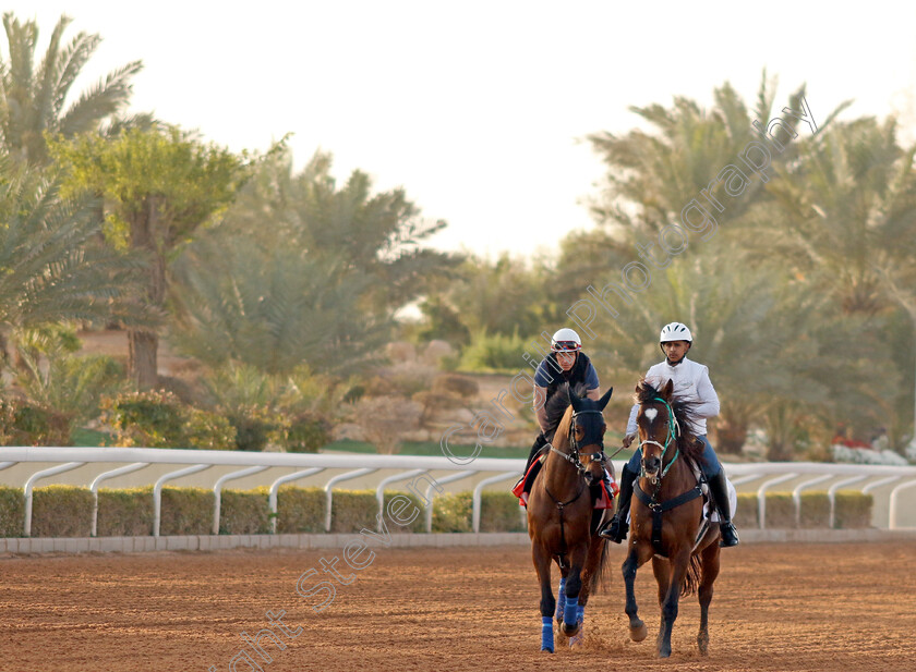 Trawlerman-0001 
 TRAWLERMAN training for The Red Sea Turf Handicap
King Abdulaziz Racecourse, Kingdom Of Saudi Arabia, 23 Feb 2023 - Pic Steven Cargill / Racingfotos.com