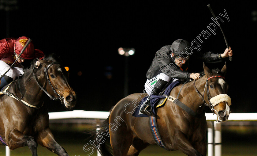 I-Love-You-Baby-0005 
 I LOVE YOU BABY (Luke Morris) beats QATAR QUEEN (left) in The Ladbrokes Fillies Novice Stakes
Wolverhampton 19 Dec 2019 - Pic Steven Cargill / Racingfotos.com