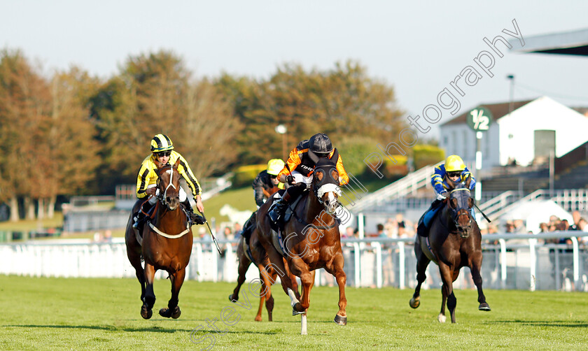 Raasel-0001 
 RAASEL (Adam Farragher) wins The Goodwood Apprentice Handicap
Goodwood 22 Sep 2021 - Pic Steven Cargill / Racingfotos.com