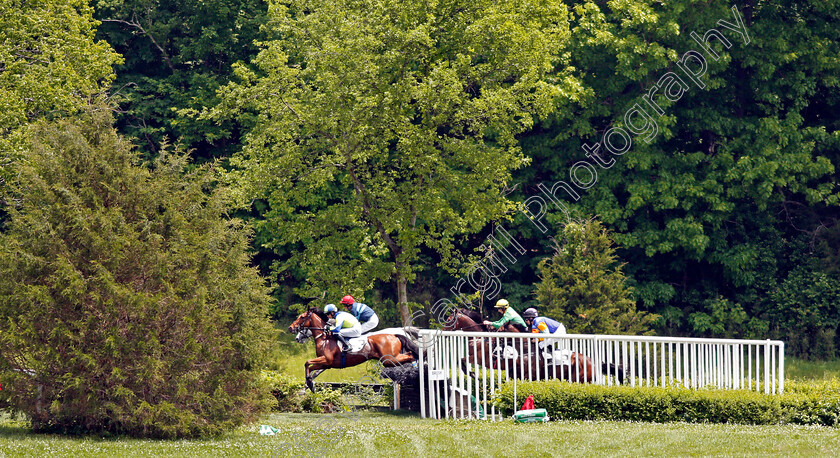 Lord-Justice-0001 
 LORD JUSTICE (Sean McDermott) wins The Green Pastures Hurdle at Perct Warner Park, Nashville 12 May 2018 - Pic Steven Cargill / Racingfotos.com