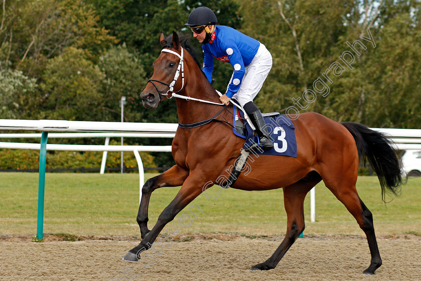 Fair-Man-0001 
 FAIR MAN (John Egan)
Lingfield 4 Aug 2020 - Pic Steven Cargill / Racingfotos.com