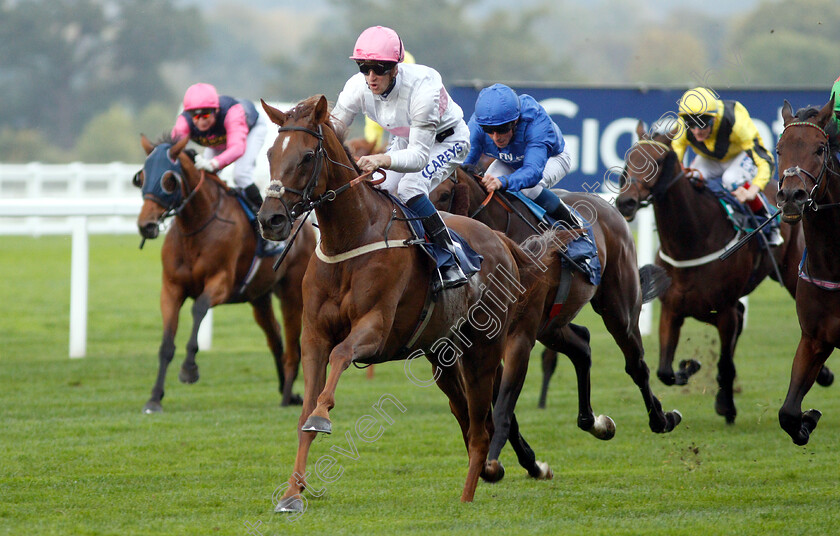 What-A-Welcome-0004 
 WHAT A WELCOME (Joey Haynes) wins The Canaccord Genuity Gordon Carter Handicap
Ascot 5 Oct 2018 - Pic Steven Cargill / Racingfotos.com