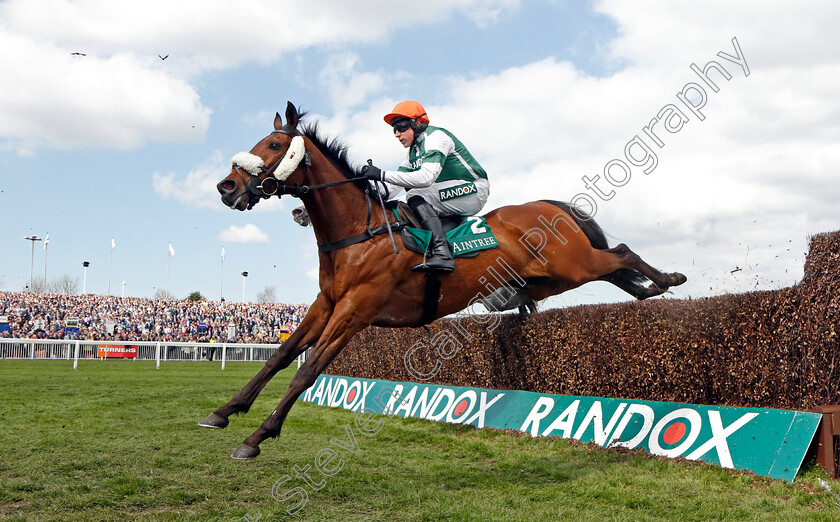 Calico-0002 
 CALICO (Harry Skelton)
Aintree 15 Apr 2023 - Pic Steven Cargill / Racingfotos.com