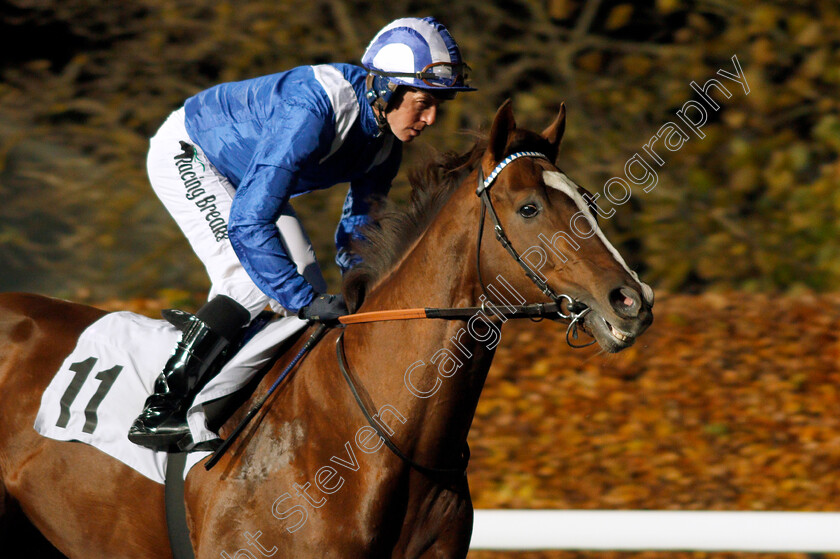 Khuzaam-0001 
 KHUZAAM (Jim Crowley)
Kempton 20 Nov 2019 - Pic Steven Cargill / Racingfotos.com