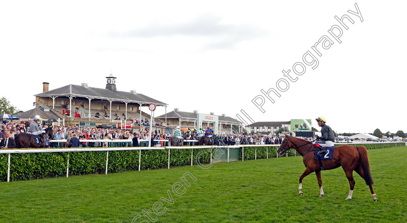 Stradivarius-0009 
 STRADIVARIUS (Frankie Dettori) winner of The Doncaster Cup
Doncaster 10 Sep 2021 - Pic Steven Cargill / Racingfotos.com