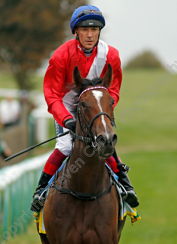 Inspiral-0010 
 INSPIRAL (Frankie Dettori) after The bet365 Fillies Mile
Newmarket 8 Oct 2021 - Pic Steven Cargill / Racingfotos.com