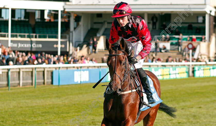 Naina-0001 
 NAINA (Christian Howarth)
Newmarket 11 Oct 2024 - Pic Steven Cargill / Racingfotos.com