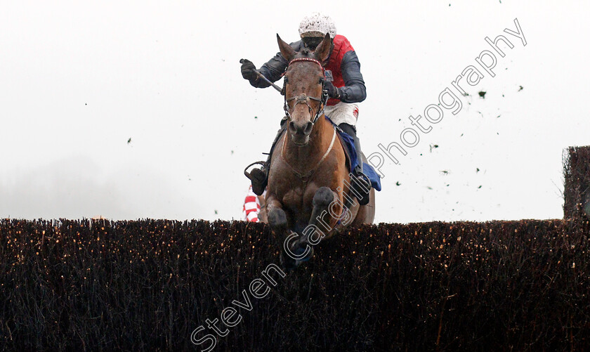 Tiquer-0003 
 TIQUER (Paddy Brennan) wins The The Smart Money's On Coral Handicap Chase
Chepstow 27 Dec 2019 - Pic Steven Cargill / Racingfotos.com