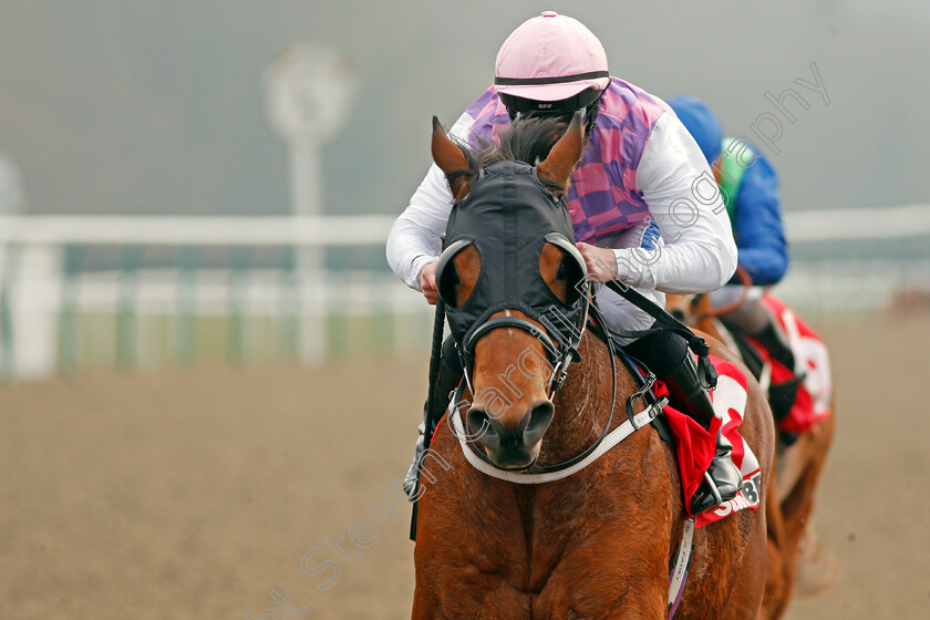 Constantino-0007 
 CONSTANTINO (Paul Hanagan) wins The Play For Free At sunbets.co.uk/vegas Handicap Lingfield 3 Mar 2018 - Pic Steven Cargill / Racingfotos.com