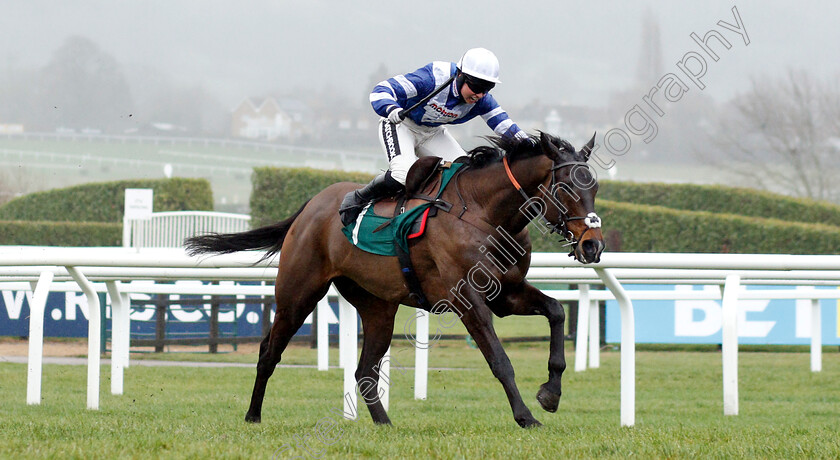 Frodon-0006 
 FRODON (Bryony Frost) wins The BetBright Trial Cotswold Chase
Cheltenham 26 Jan 2019 - Pic Steven Cargill / Racingfotos.com