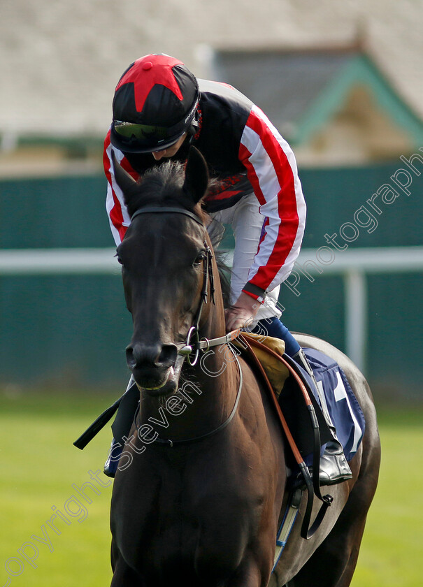 So-Sassy-0001 
 SO SASSY (Daniel Muscutt)
Yarmouth 18 Sep 2024 - Pic Steven Cargill / Racingfotos.com