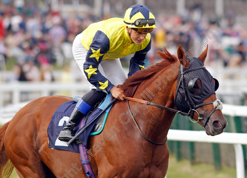 Magical-Mile-0002 
 MAGICAL MILE (Benoit de la Sayette)
Yarmouth 13 Sep 2022 - Pic Steven Cargill / Racingfotos.com