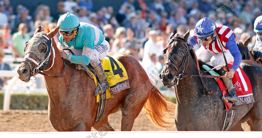 British-Idiom-0004 
 BRITISH IDIOM (left, Javier Castellano) beats DONNA VELOCE (right) in The Breeders' Cup Juvenile Fillies
Santa Anita USA 1 Nov 2019 - Pic Steven Cargill / Racingfotos.com