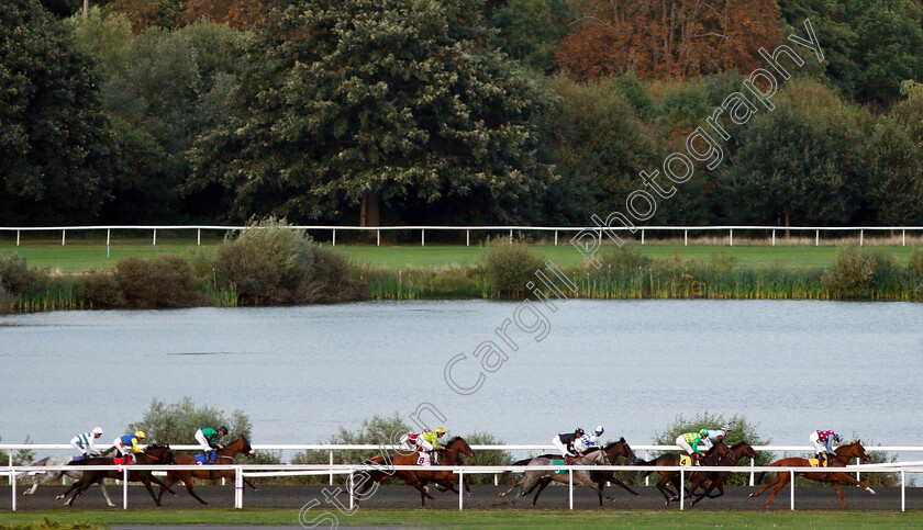 Kempton-0001 
 JEDHI (No.4 Robert Havlin) races in third place along the back straight on her way to winning The 100% Profit Boost At 32Redsport.com Fillies Handicap
Kempton 29 Aug 2018 - Pic Steven Cargill / Racingfotos.com