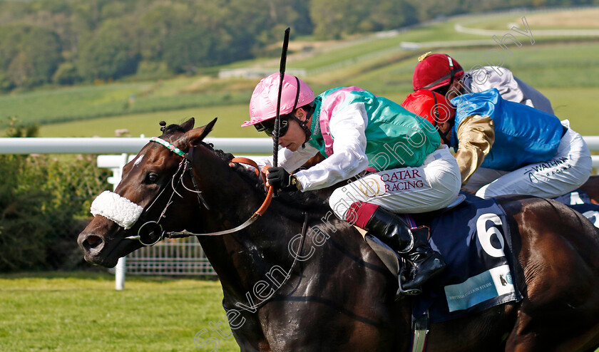 Jouncy-0001 
 JOUNCY (Oisin Murphy) wins The British Stallion Studs EBF Maiden Stakes
Goodwood 30 Jul 2024 - Pic Steven Cargill / racingfotos.com