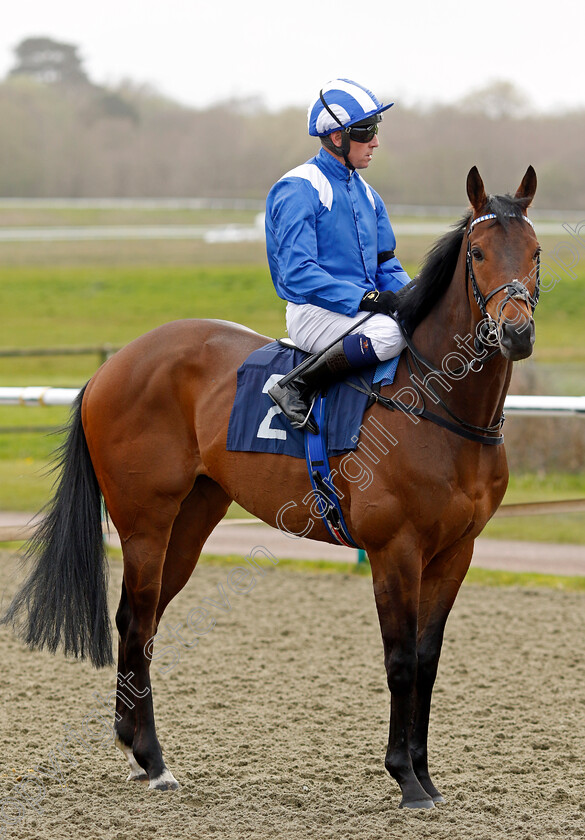 Mahboob-0004 
 MAHBOOB (Jim Crowley) winner of The Tips For Every Race At raceday-ready.com Novice Stakes
Lingfield 4 Apr 2024 - Pic Steven Cargill / Racingfotos.com