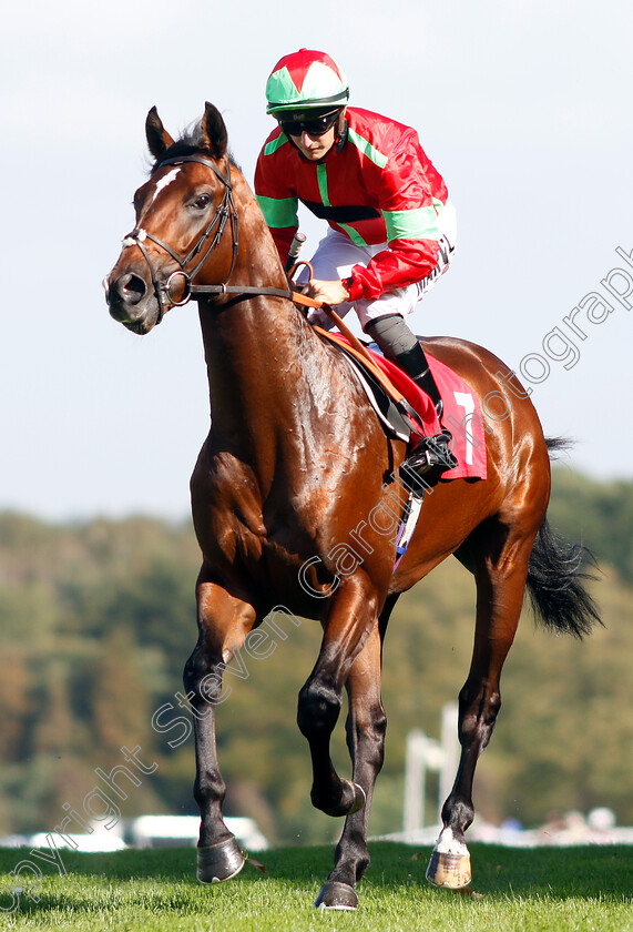 Flying-Dragon-0002 
 FLYING DRAGON (Tom Marquand) before winning The Smarkets EBF Novice Stakes
Sandown 19 Sep 2018 - Pic Steven Cargill / Racingfotos.com