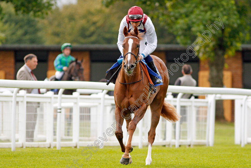 Oriental-Song-0001 
 ORIENTAL SONG (Jim Crowley) Salisbury 7 Sep 2017 - Pic Steven Cargill / Racingfotos.com