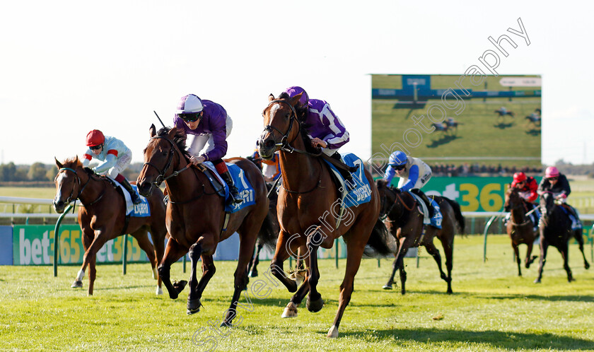 Merrily-0004 
 MERRILY (Wayne Lordan) wins The Godolphin Lifetime Care Oh So Sharp Stakes
Newmarket 11 Oct 2024 - pic Steven Cargill / Racingfotos.com