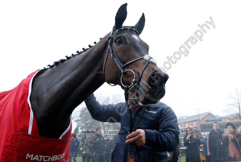 Altior-0008 
 ALTIOR after The Matchbook Clarence House Chase
Ascot 19 Jan 2019 - Pic Steven Cargill / Racingfotos.com