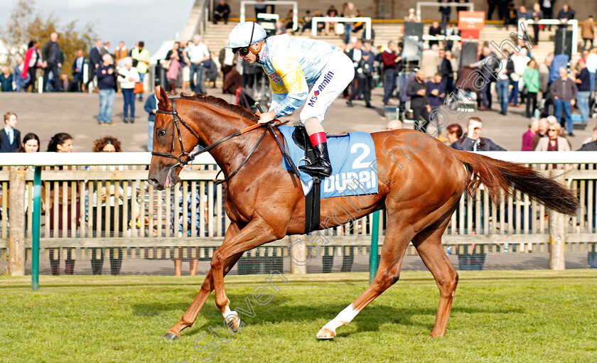 Altyn-Orda-0001 
 ALTYN ORDA (Andrea Atzeni) winner of The Godolphin Lifetime Care Oh So Sharp Stakes Newmarket 13 Oct 2017 - Pic Steven Cargill / Racingfotos.com