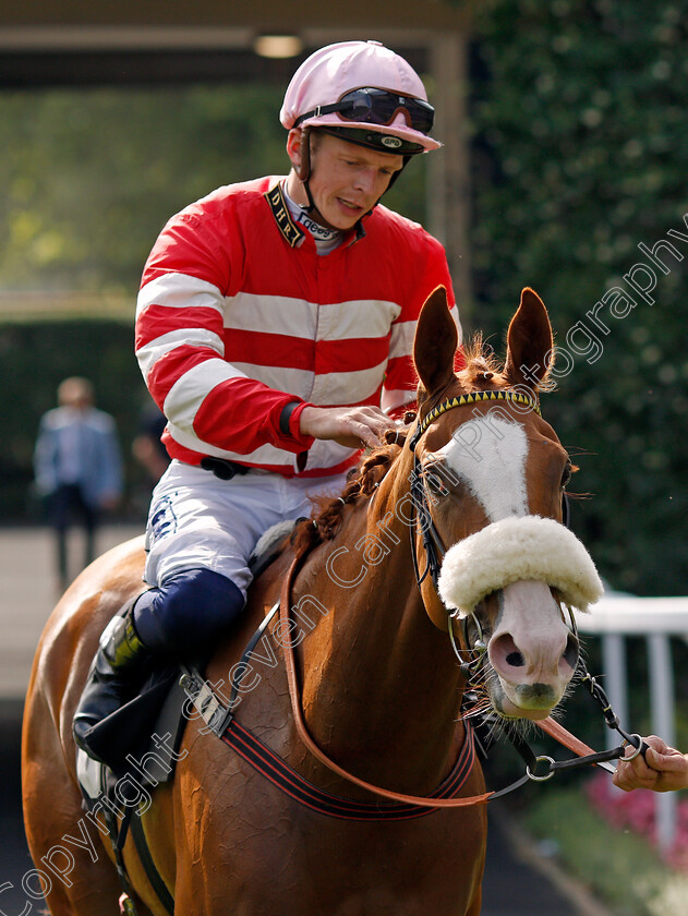 Havagomecca-0006 
 HAVAGOMECCA (David Probert) after The Berenberg October Club Supporting Cares Family Fillies Handicap
Ascot 23 Jul 2021 - Pic Steven Cargill / Racingfotos.com