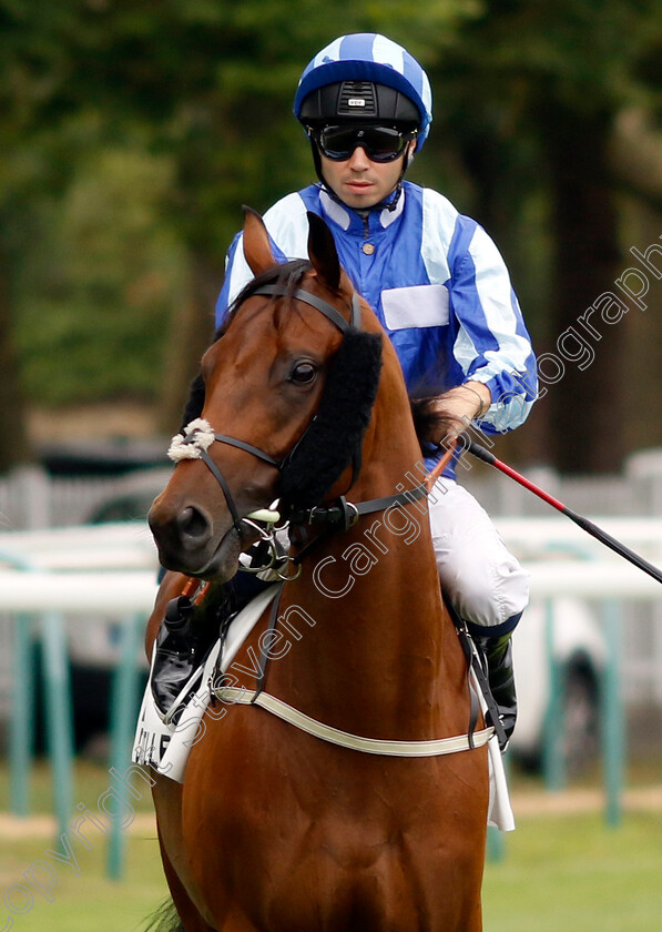 Rock-Hunter-0003 
 ROCK HUNTER (Mickael Barzalona)
Deauville 3 Aug 2024 - Pic Steven Cargill / Racingfotos.com