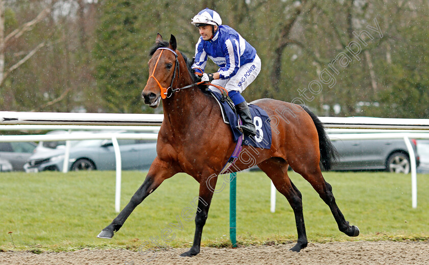 Win-Win-Power-0001 
 WIN WIN POWER (Silvestre De Sousa)
Lingfield 15 Feb 2020 - Pic Steven Cargill / Racingfotos.com