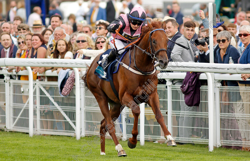 Sisters-In-The-Sky-0004 
 SISTERS IN THE SKY (Hollie Doyle) wins The British Stallion Studs EBF Maiden Stakes
Goodwood 27 Jul 2021 - Pic Steven Cargill / Racingfotos.com