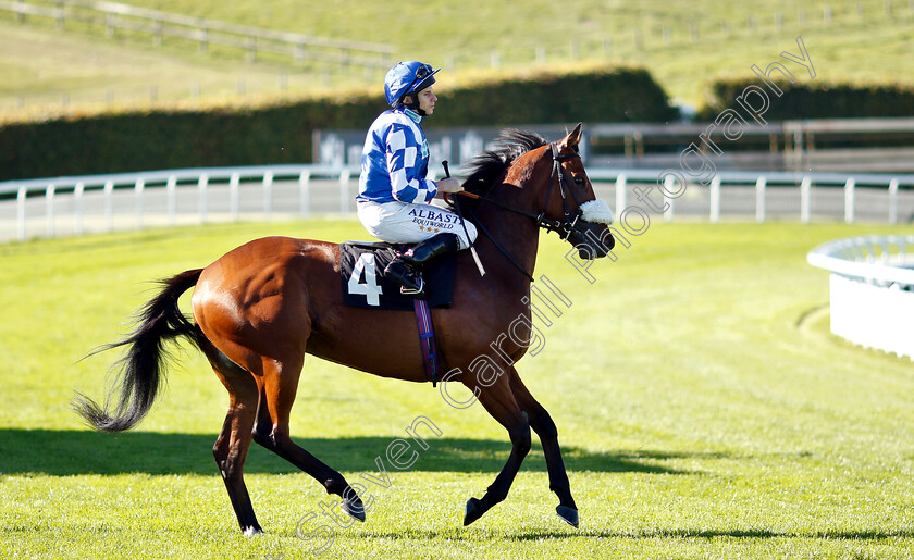 Iconic-Knight-0001 
 ICONIC KNIGHT (Ryan Moore)
Goodwood 26 Sep 2018 - Pic Steven Cargill / Racingfotos.com