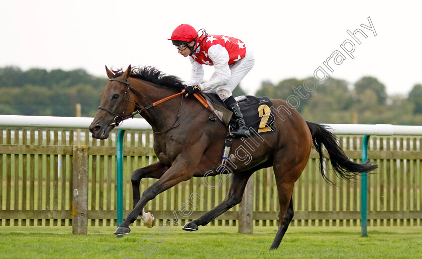 Al-Nayyir-0002 
 AL NAYYIR (Luke Morris) wins The Jockey Club Rose Bowl Stakes
Newmarket 26 Sep 2024 - Pic Steven Cargill / Racingfotos.com