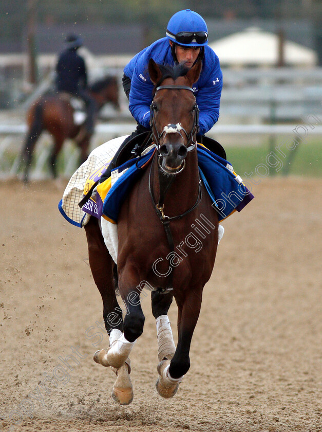 Thunder-Snow-0002 
 THUNDER SNOW exercising ahead of The Breeders' Cup Classic
Churchill Downs USA 30 Oct 2018 - Pic Steven Cargill / Racingfotos.com