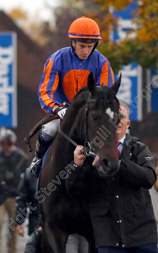 Expanded-0001 
 EXPANDED (Ryan Moore)
Newmarket 12 Oct 2024 - Pic Steven Cargill / Racingfotos.com