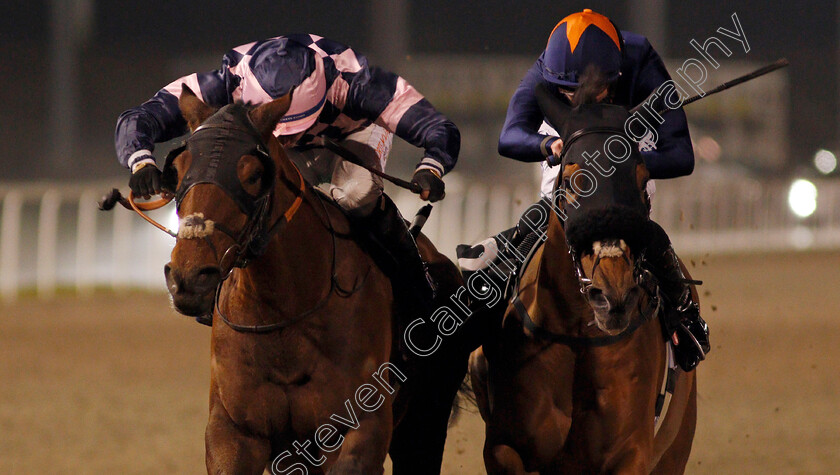 Dark-Pine-0006 
 DARK PINE (left, Rossa Ryan) beats ARIJ (right) in The chelmsfordcityracecourse.com Handicap
Chelmsford 14 Jan 2021 - Pic Steven Cargill / Racingfotos.com