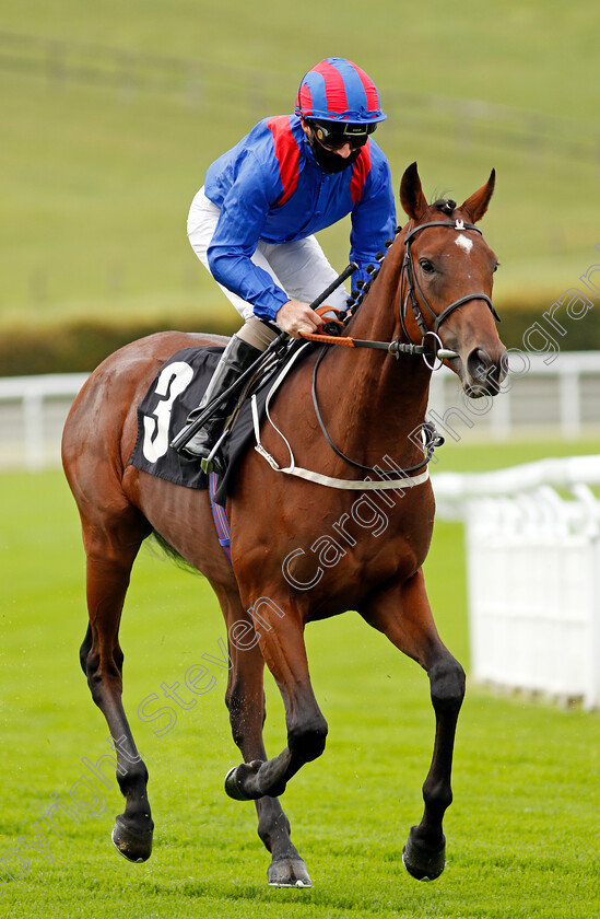 King-Frankel-0001 
 KING FRANKEL (Joe Fanning)
Goodwood 23 Sep 2020 - Pic Steven Cargill / Racingfotos.com