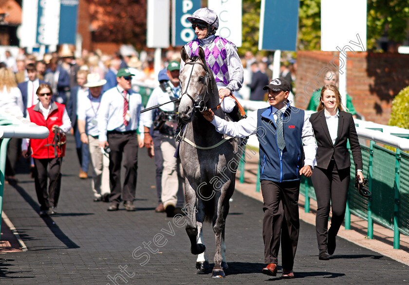 Havana-Grey-0001 
 HAVANA GREY (P J McDonald) Newmarket 5 May 2018 - Pic Steven Cargill / Racingfotos.com