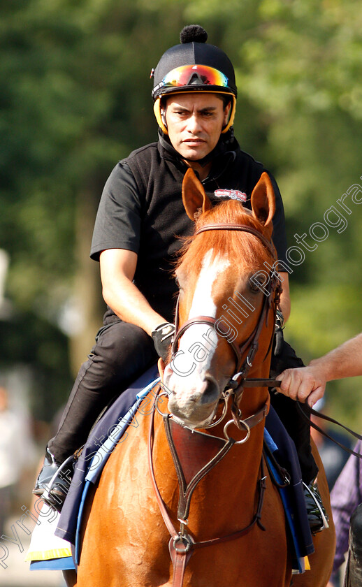 Justify-0001 
 JUSTIFY on his way to the track
Belmont Park 8 Jun 2018 - Pic Steven Cargill / Racingfotos.com