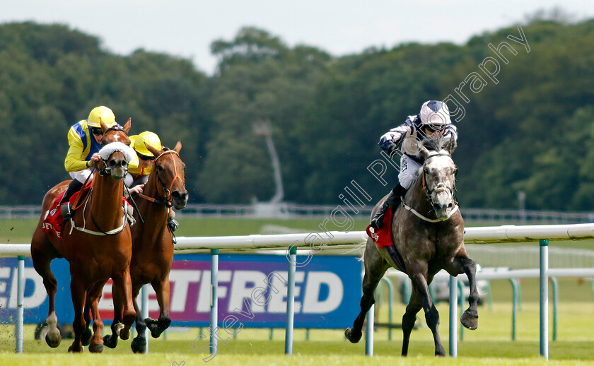 Iron-Lion-0005 
 IRON LION (Jamie Spencer) wins The Betfred Play Fred's £5 Million Handicap
Haydock 8 Jun 2024 - Pic Steven Cargill / Racingfotos.com