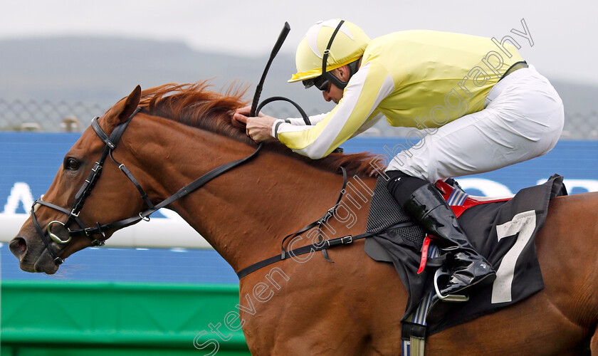 Choisya-0001 
 CHOISYA (Jack Mitchell) wins The Coral Fillies Handicap
Goodwood 1 Aug 2023 - Pic Steven Cargill / Racingfotos.com