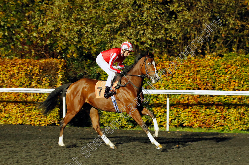 Laser-Guided-0002 
 LASER GUIDED (William Buick)
Kempton 16 Nov 2022 - Pic Steven Cargill / Racingfotos.com