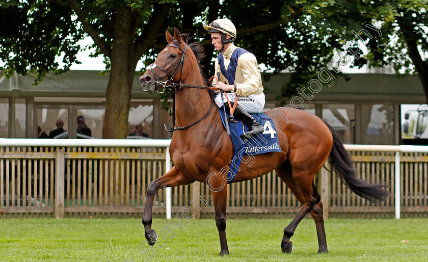 Sirona-0002 
 SIRONA (Rossa Ryan)
Newmarket 12 Jul 2024 - Pic Steven Cargill / Racingfotos.com