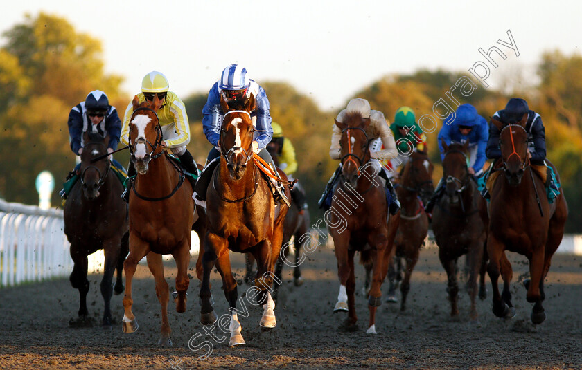 Alfarqad-0003 
 ALFARQAD (centre, Dane O'Neill) beats RING DANCER (left) in The 100% Profit Boost At 32Redsport.com Novice Stakes Div1
Kempton 27 Sep 2018 - Pic Steven Cargill / Racingfotos.com