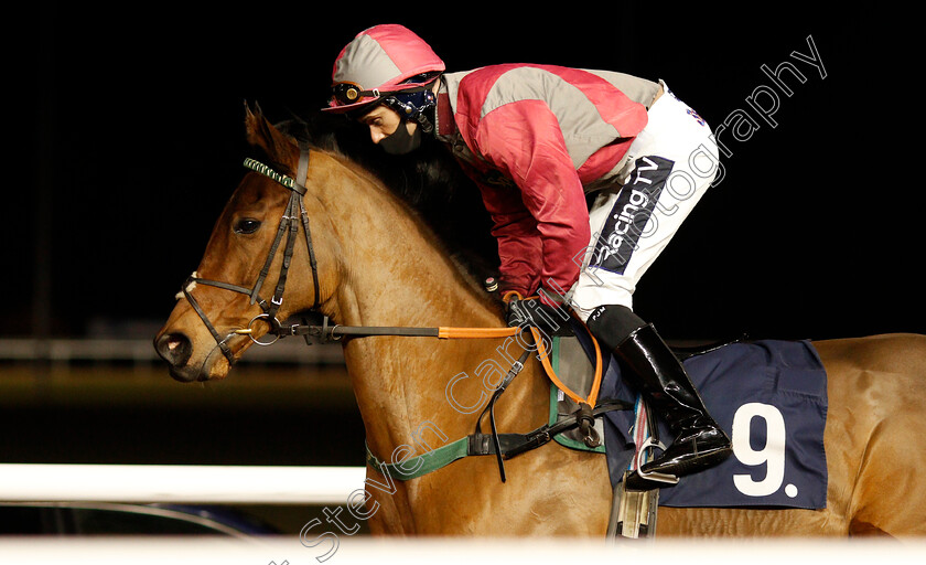 Stargazer-0001 
 STARGAZER (Paul Mulrennan)
Wolverhampton 18 Jan 2021 - Pic Steven Cargill / Racingfotos.com